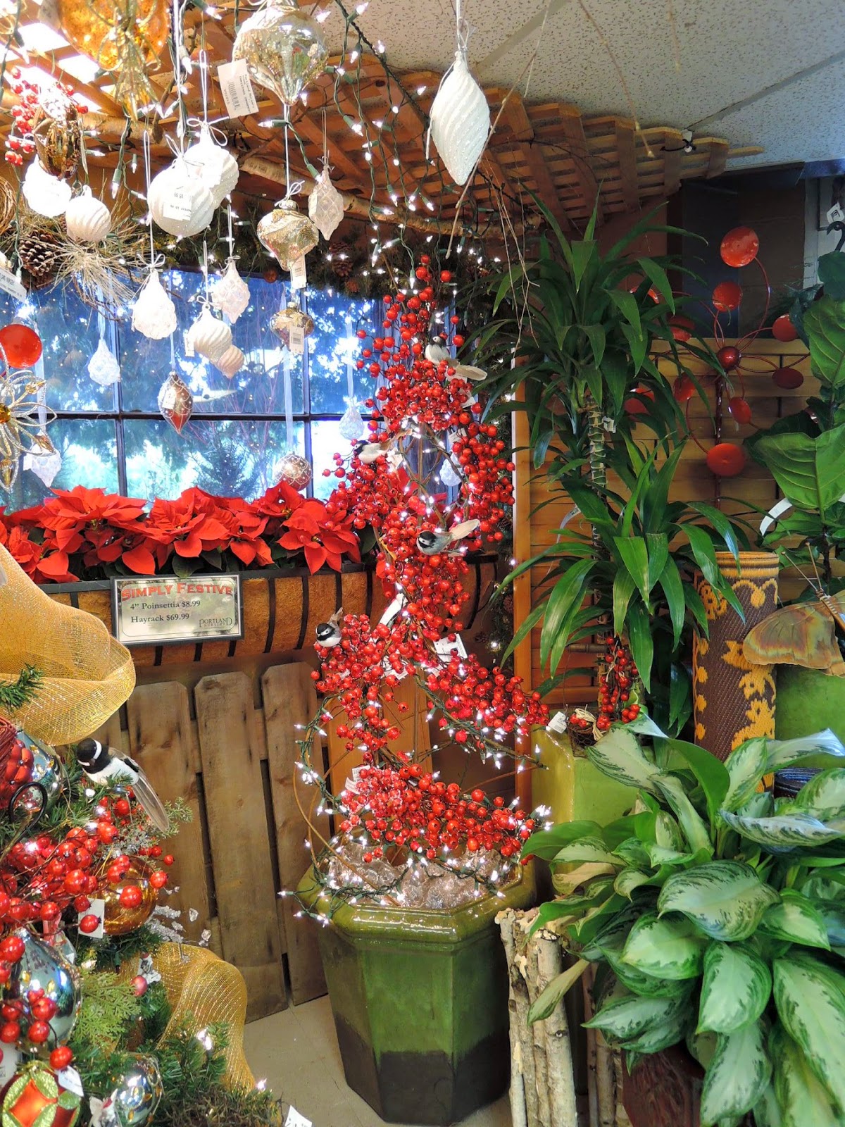 spit-vinegar-christmas-at-portland-nursery