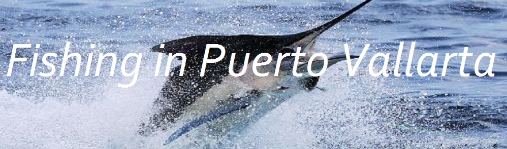 Fishing Charters in Puerto Vallarta, Mexico 