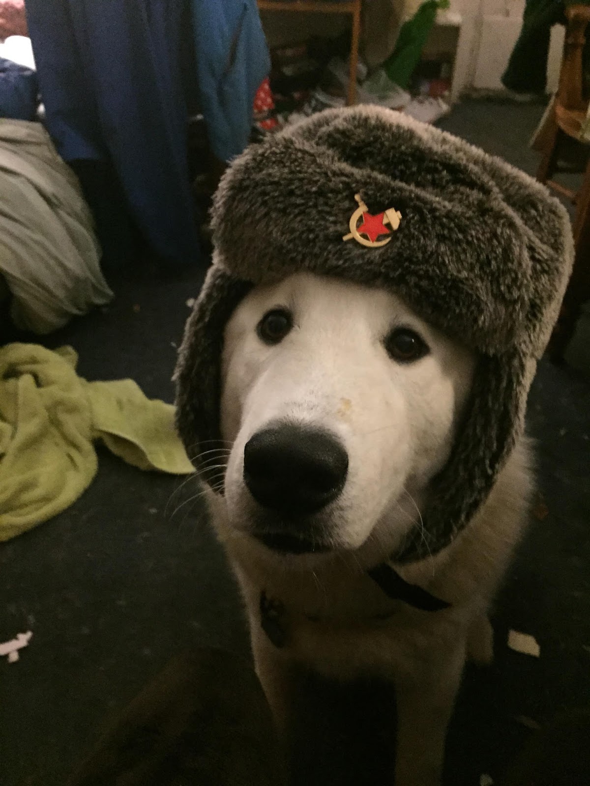 Ichabod, The Glory Has Departed Great Quote on Leftist Absurdities