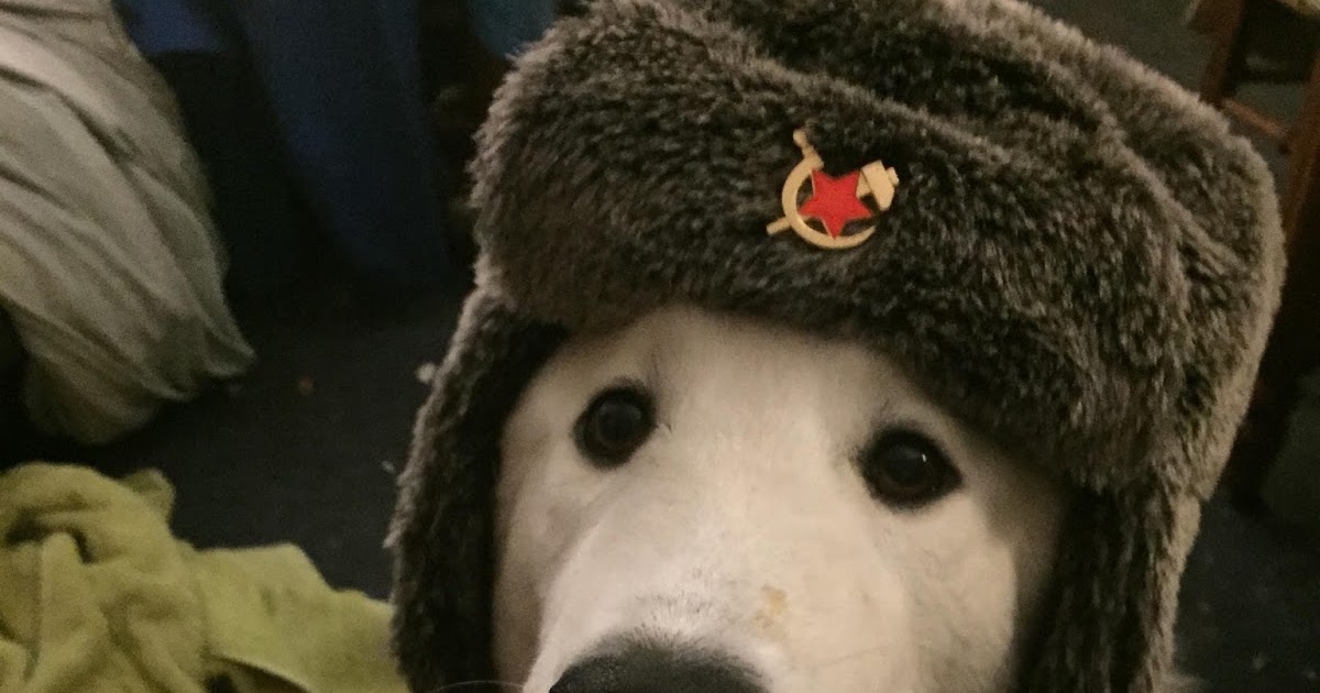 Ichabod, The Glory Has Departed Great Quote on Leftist Absurdities