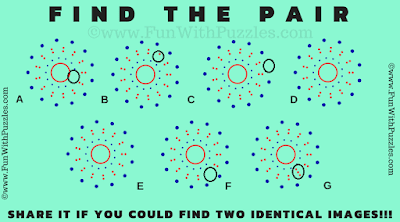 Answer of Find the Pair Picture Riddle