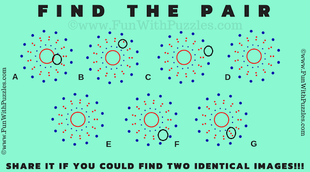 Genius Visual Challenge: Find the Pairs Picture Riddle Answer