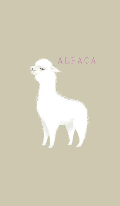 White alpaca