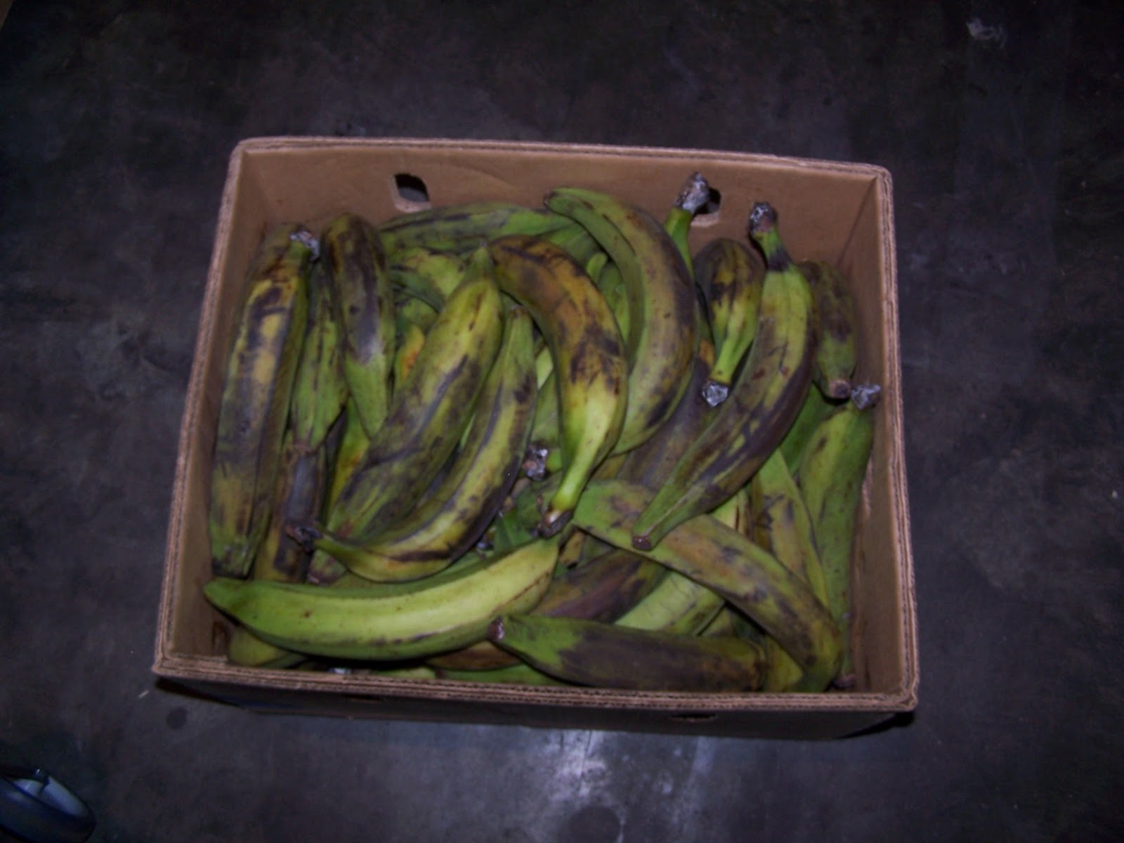 Plátano Macho (Plantain). Escala de colores