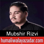 https://www.humaliwalyazadar.com/2018/09/mubshir-rizvi-nohay-2019.html