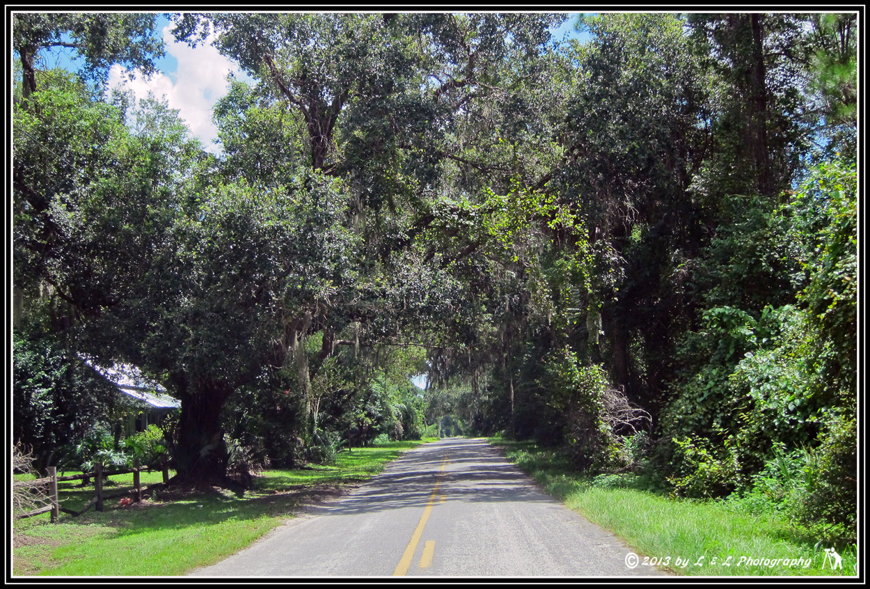 Ocala, Central Florida & Beyond Island Grove Winery