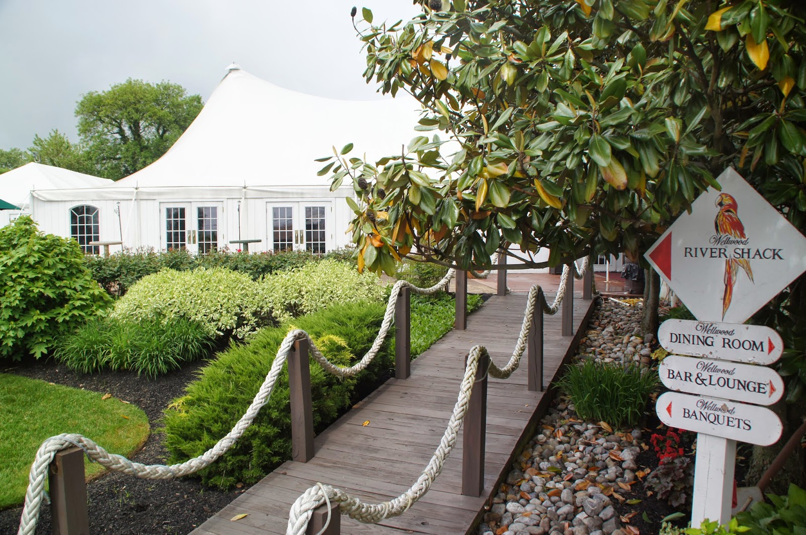 Extraordinary Stories From An Ordinary Guy The"The Wellwood Club" Story