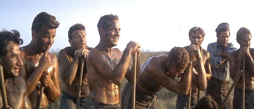 Cool Hand Luke Car Wash Scene Meaning Bobby Rivers TV: On COOL HAND LUKE (1967)