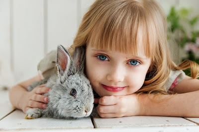  اجمل الصور اطفال فى العالم 2022 خلفيات اطفال جميلة للموبايل Rabbit-3660673_960_720