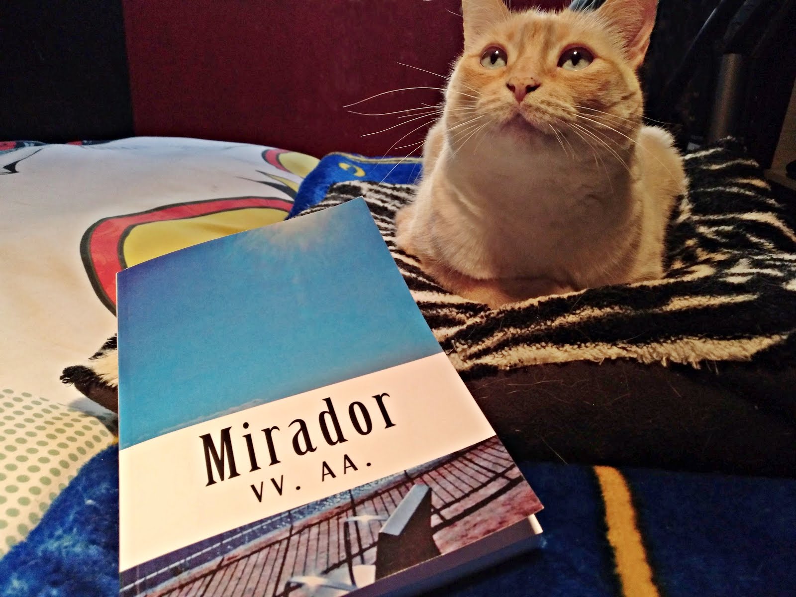 Mirador (Auroratris, Clarisa Tomás, Nino Ortea, Athenea, Livy, Xan Do Río)