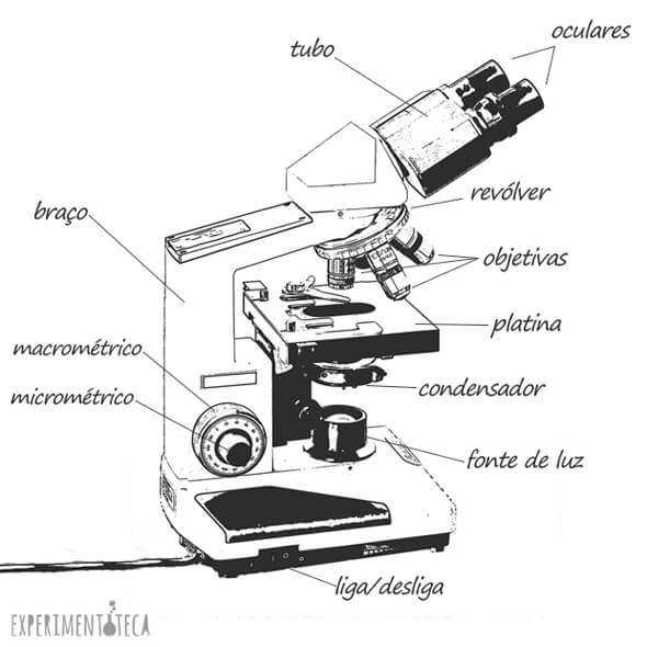 partes-de-um-microscopio