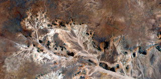 Allegory Autumn,Stone plant fantasy,Abstract Naturalism,abstract photography deserts of Africa from the air,abstract surrealism,mirage in desert,fantasy forms and colors desert,flowers, leaves,roots Allegory Autumn,Stone plant fantasy,Abstract Naturalism,abstract photography deserts of Africa from the air,abstract surrealism,mirage in desert,fantasy forms and colors desert,flowers, leaves,roots