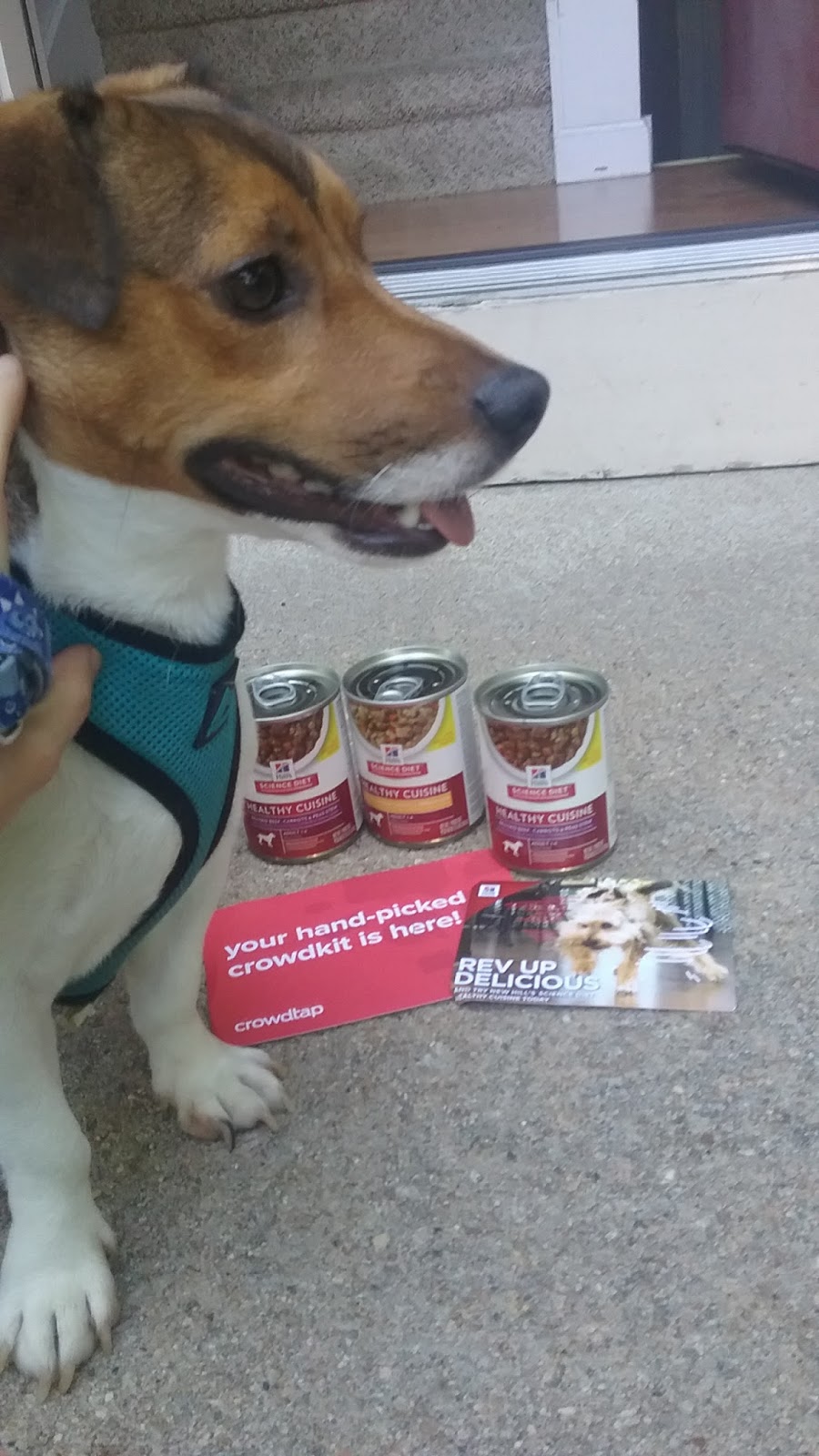 Hill S Science Diet Healthy Cuisine Dog Food Crowdtap Sampling