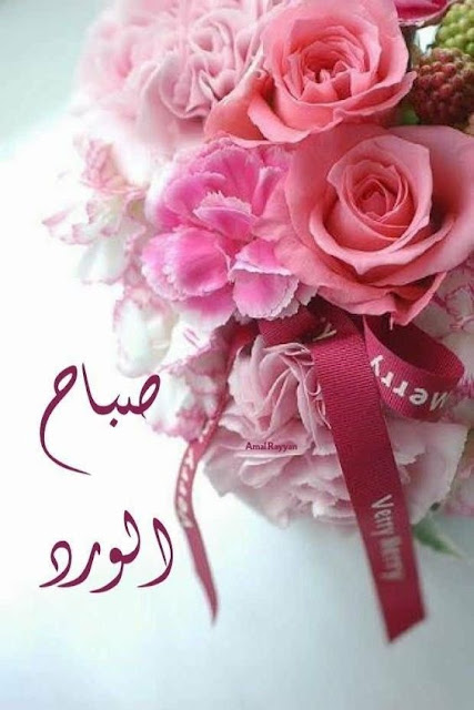 صور صباحية جديدة ورائعة