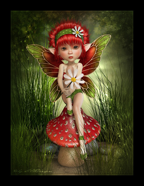 LittleDesign Amara III