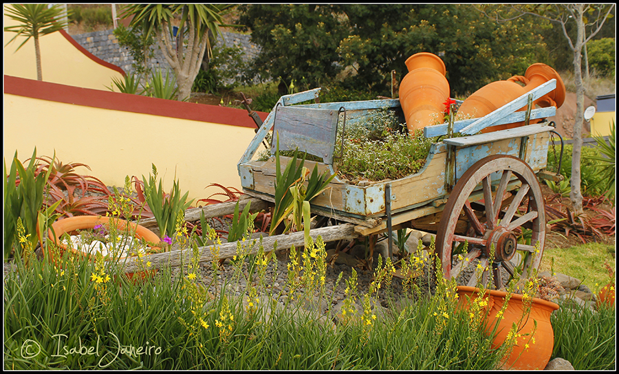 Pintando con Luz: Carro de Flores