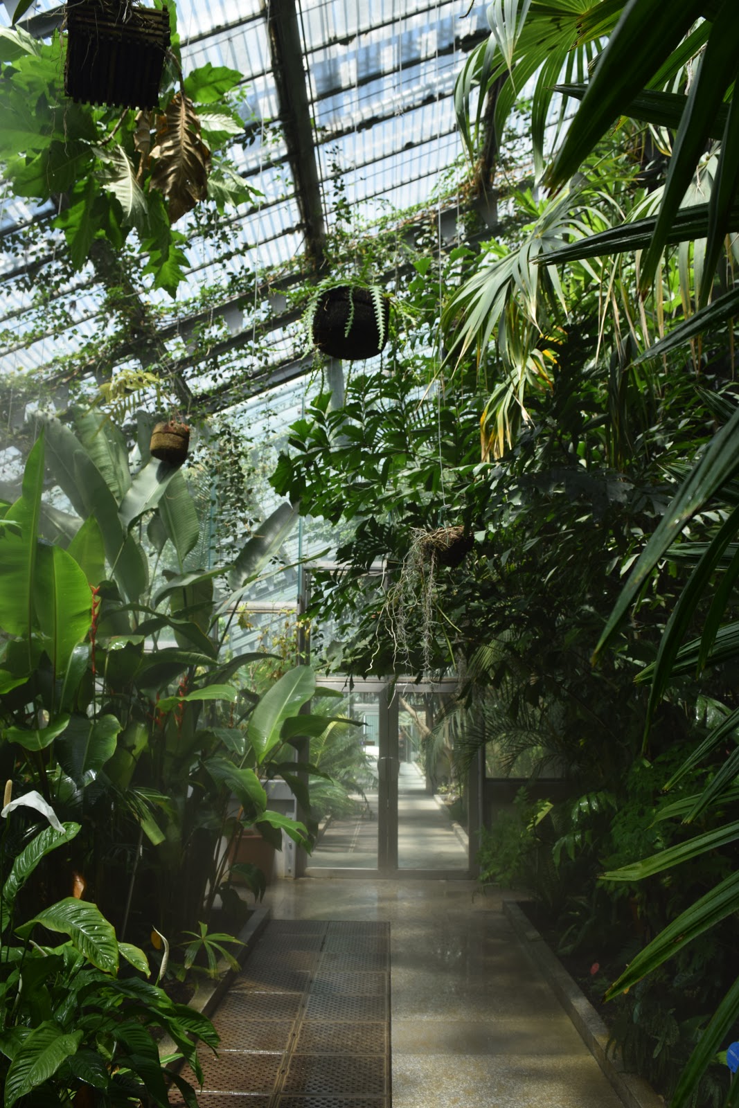 Madrid botanic gardens greenhouse