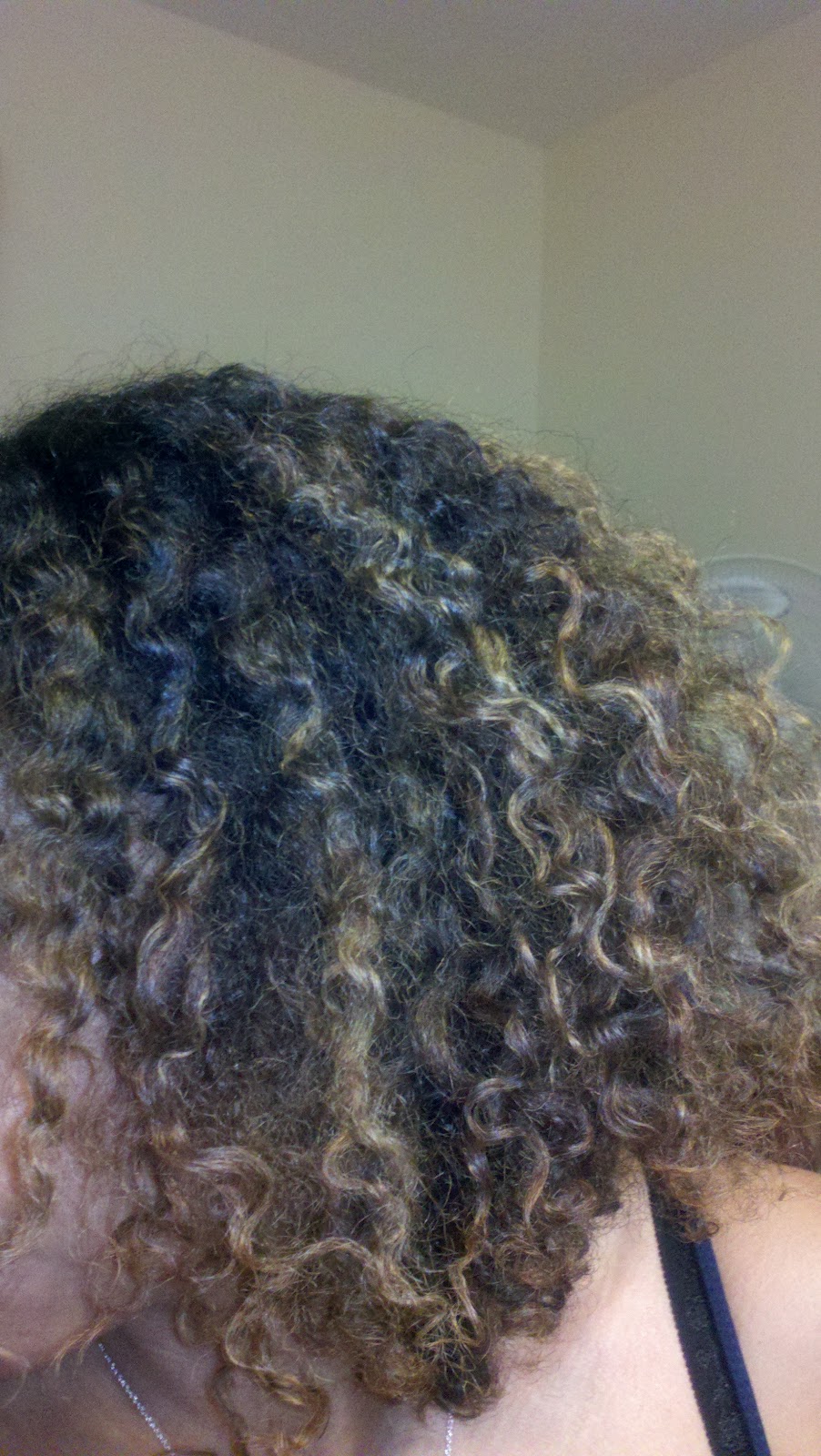 Curly Chic: Lustrasilk Curl Max Curl Pudding - Product Review