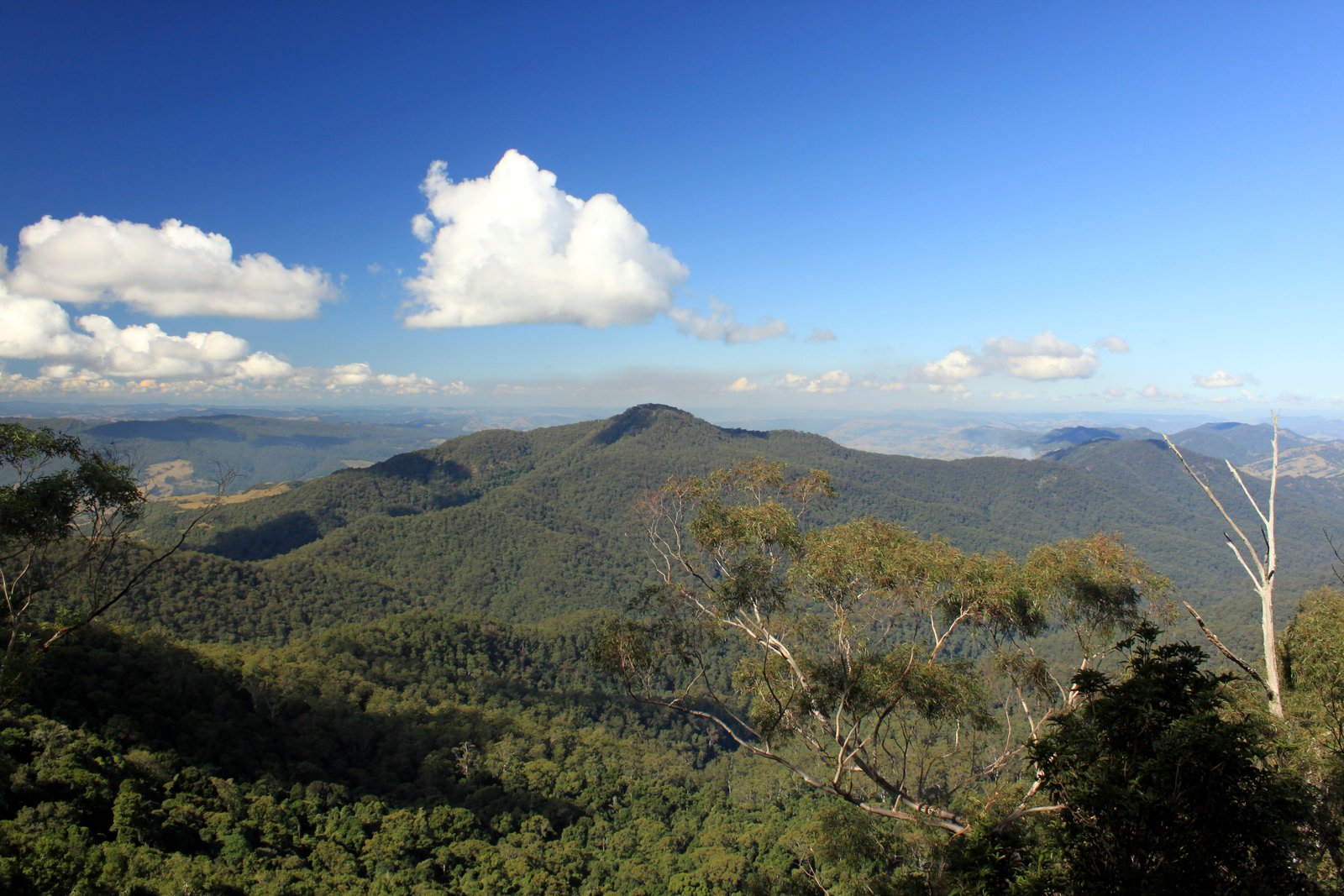 its just my life Mt Royal