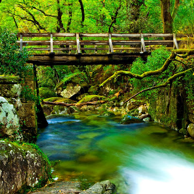 Hermoso paisaje con un río y puente de madera