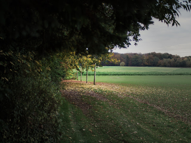 Herbstlandschaft bei Leopoldshöhe