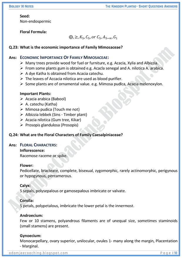 kingdom-plantae-short-question-answers-biology-11th