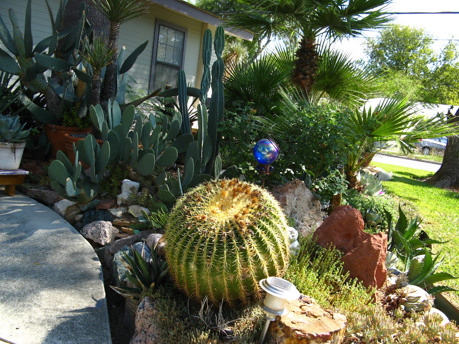 36 Cactus Garden Design Ideas : Landscaping with Cactus and Rocks