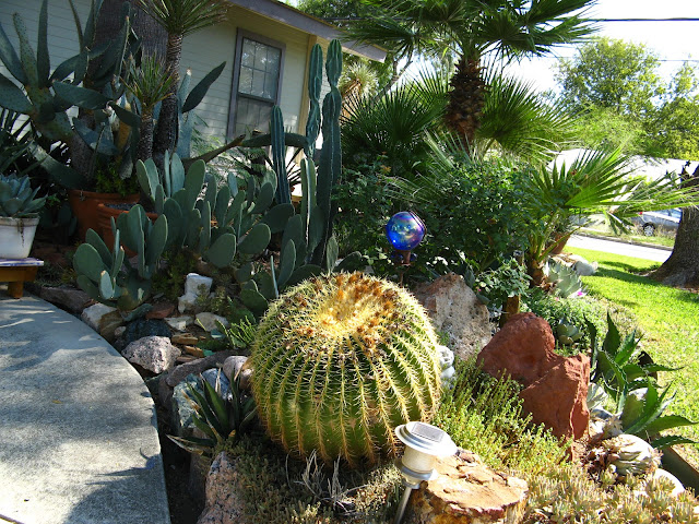 Rock-Oak-Deer: Garden Tour San Antonio Style: Cactus Marty's Collection