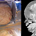If You Do Not Want Your Children To Have Cancer At An Early Age, Do Not Give Them This Food! I Cannot Believe It!