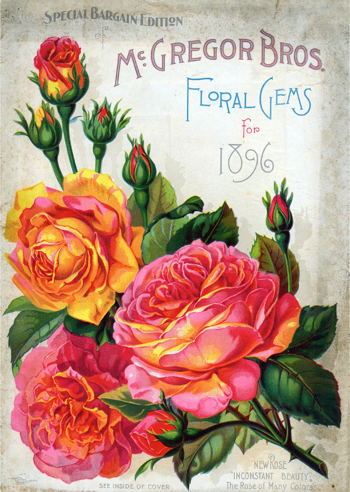 Vintage Antique Roses Posters_(61 item) Blisse Design Studio