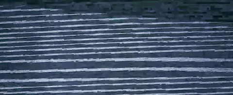 18.gif