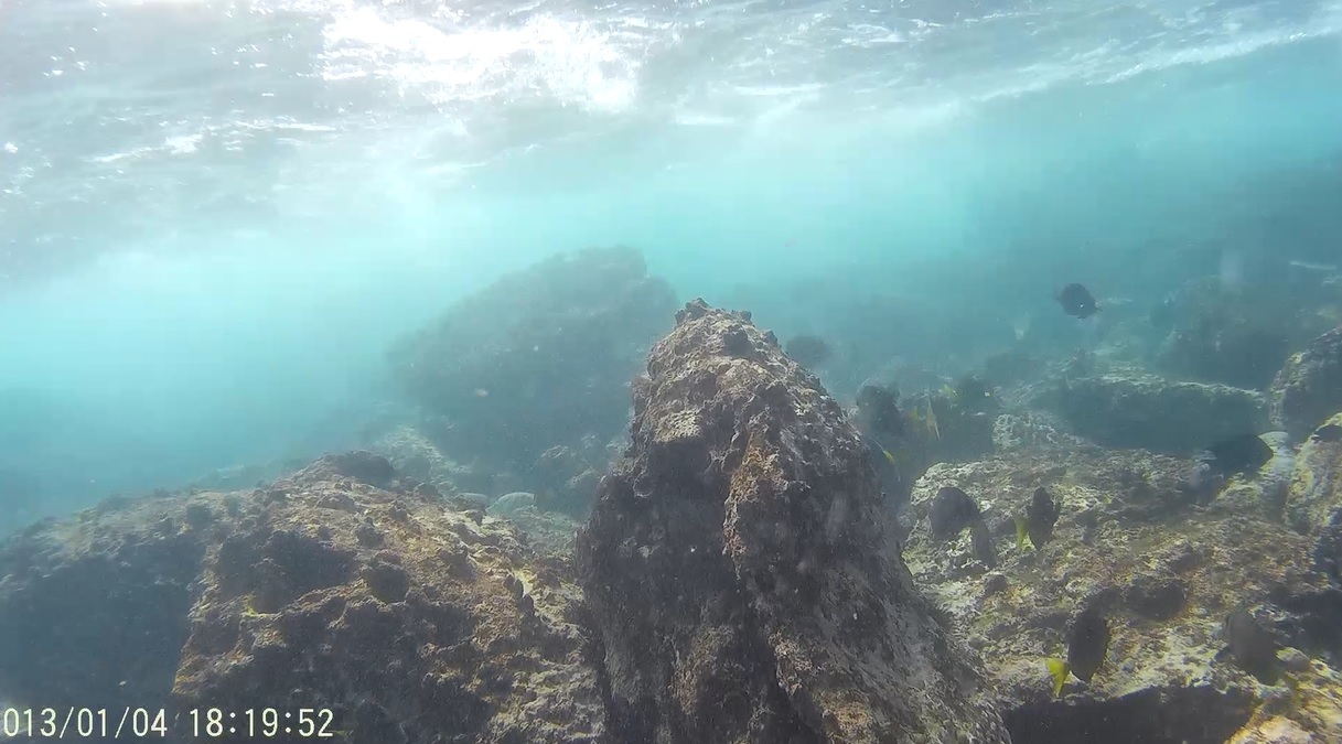 Puerto Escondido Oaxaca surfing Informaciòn turìstica Snorkel Puerto
