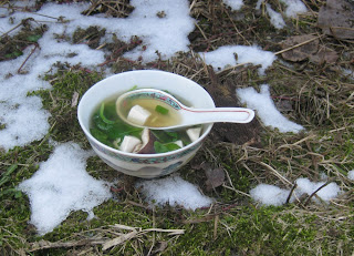 Klare Brühe mit Tofu, Spinat und Shiitakepilzen Klare Brühe mit Tofu, Spinat und Shiitakepilzen
