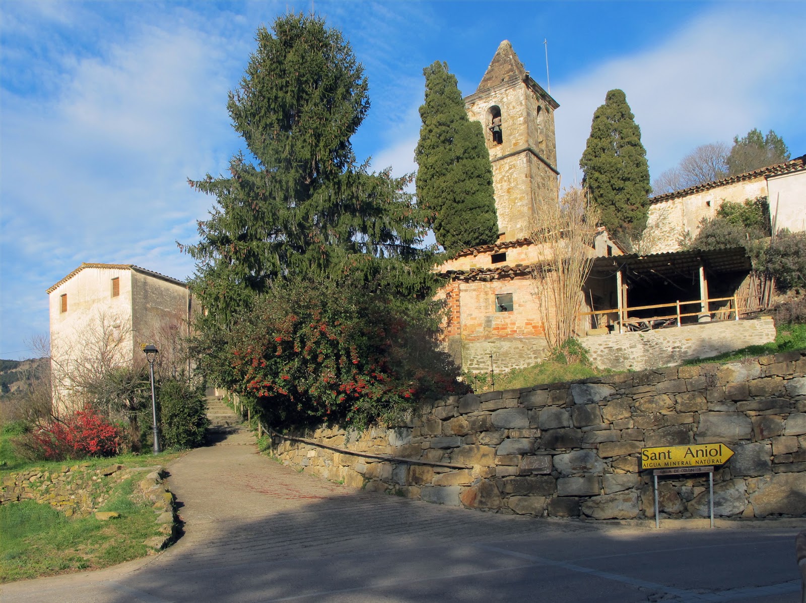 Salvatgia SANT ANIOL DE FINESTRES