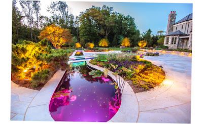 Cipriano Landscape Design & Custom Pools Mahwah Nj 07430 Stradivarius Violin Pool and Plants Photo 2016