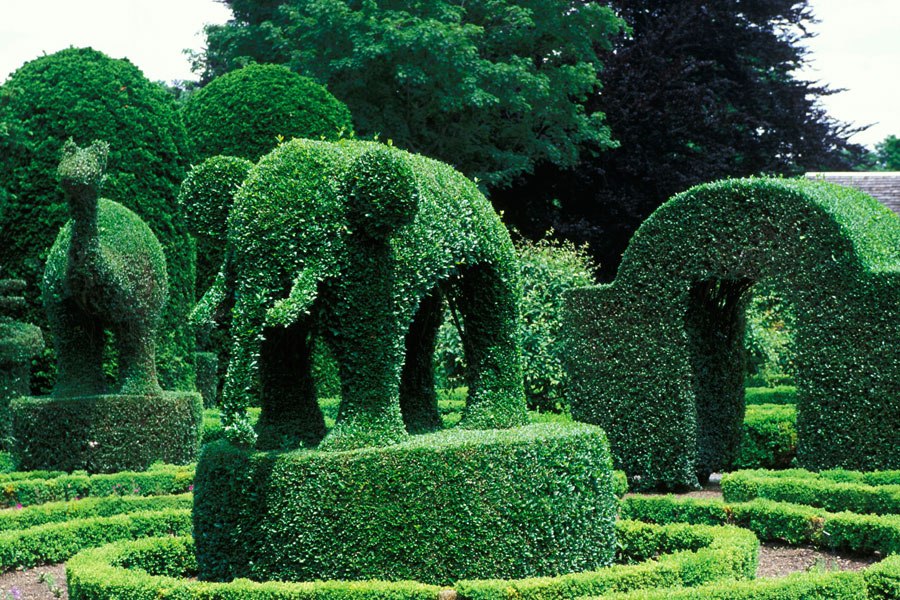 item6.rendition.slideshowWideHorizontal.topiary-gardens-07-elephant.jpg