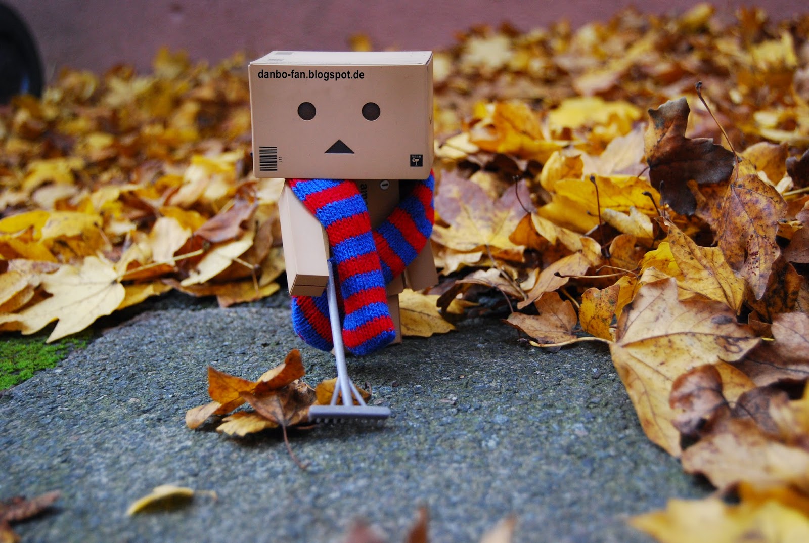 *DanboFan* Kartonmännchen Danbo im Herbst