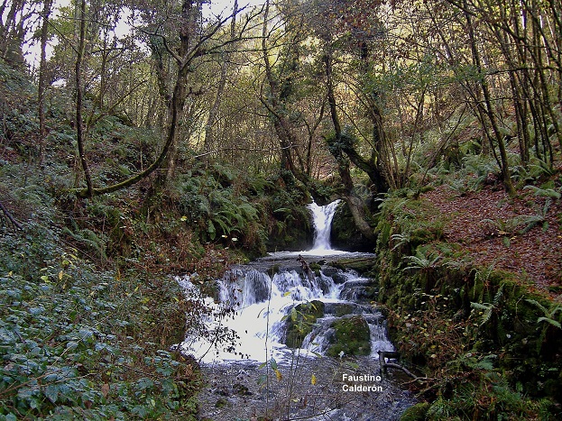 Résultat de recherche d'images pour curriellos - Asturias