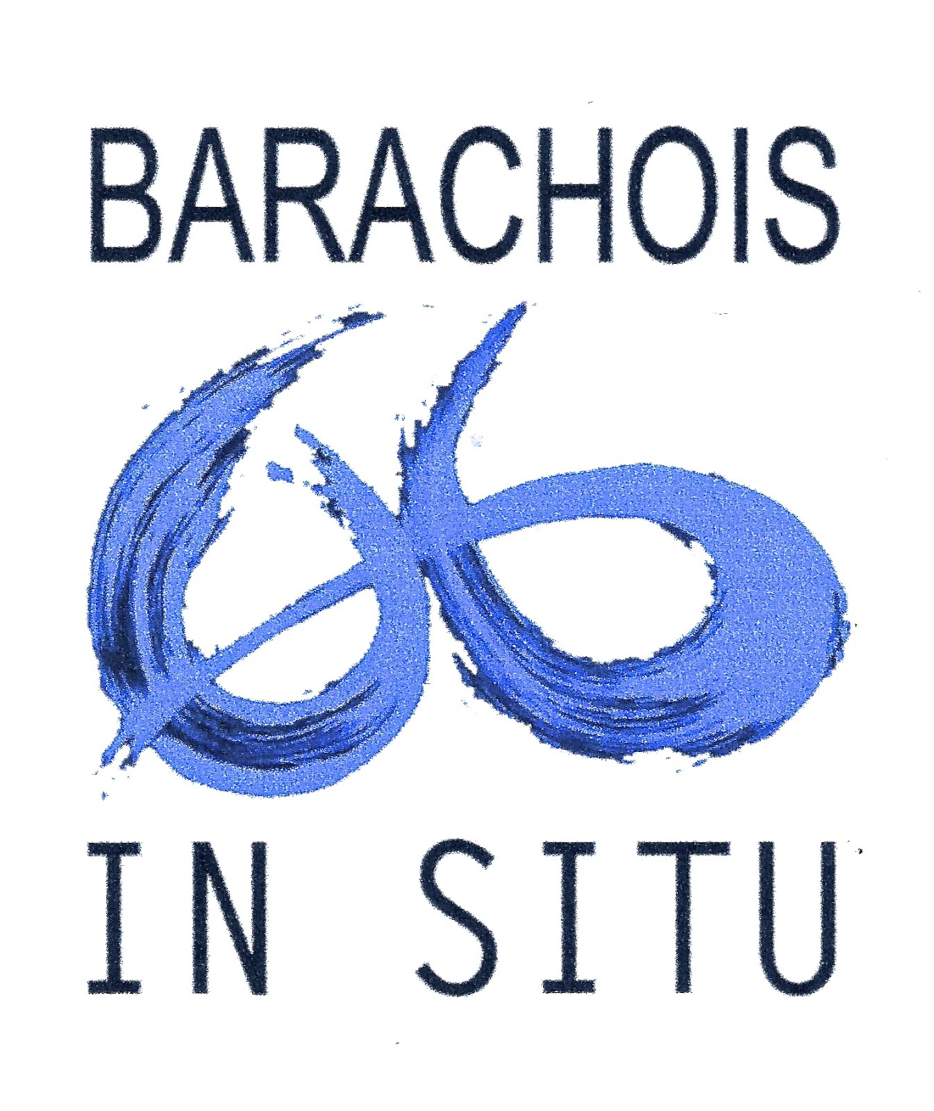 BARACHOIS IN SITU
