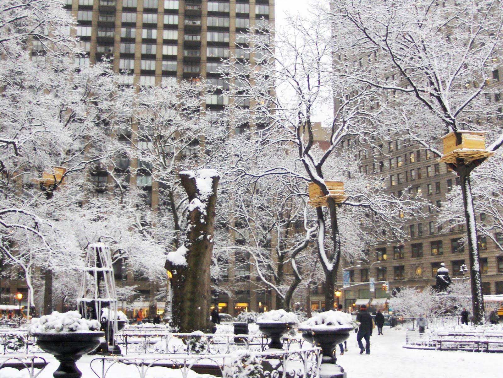 Beautiful type of trees, Photos from China