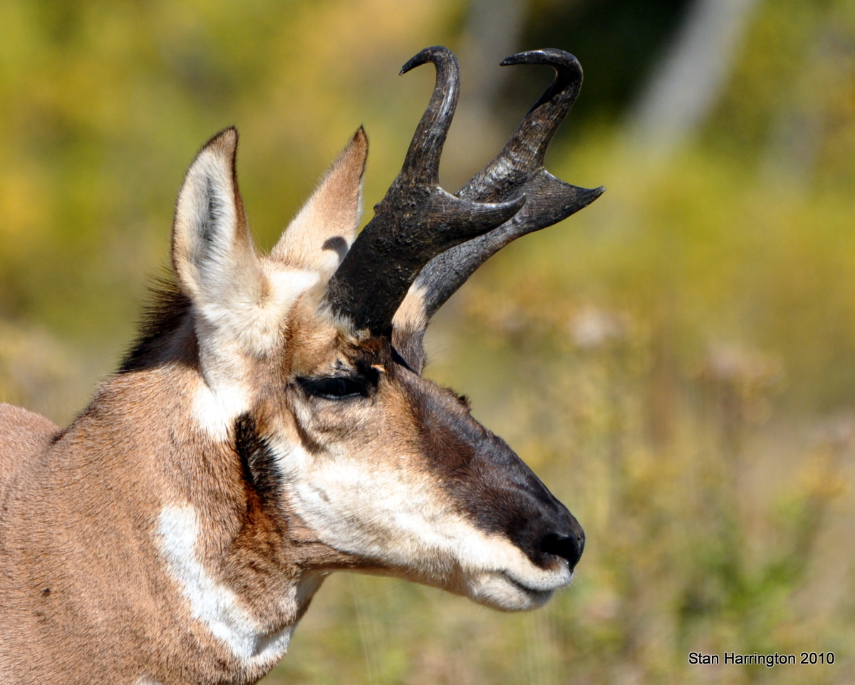Photo Treks: Head Shots