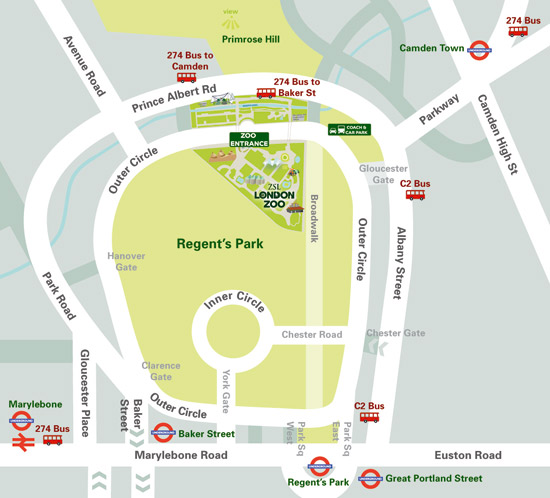 Транспорт какой до зоопарка. План Риджентс парка. Лондонский зоопарк Риджентс-парк. Схема лондонского зоопарка. Риджентс-парк на карте Лондона.