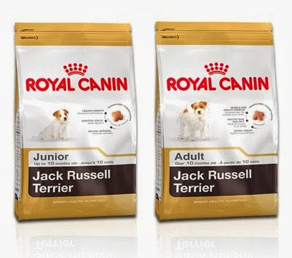  Royal Canin Jack Russell