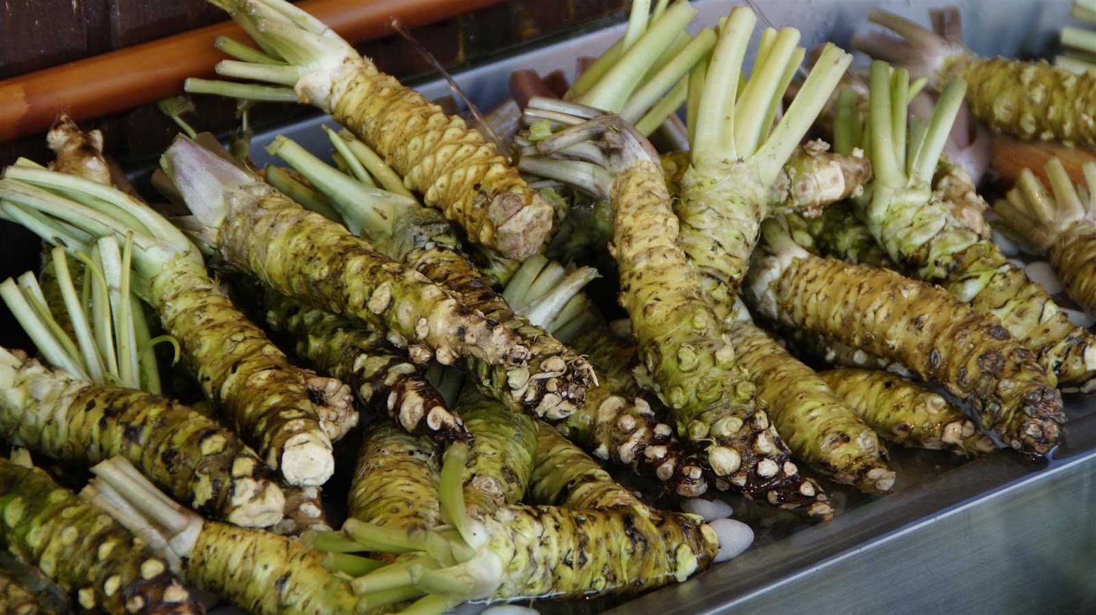 100 photos du Japon Daio Wasabi farm (30 & 31)