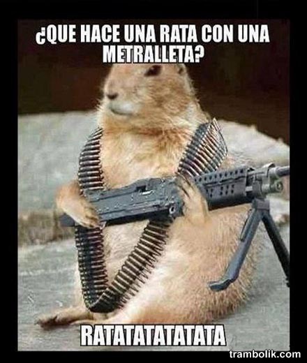 graciosas chistosas imagenes para descargar o bajar