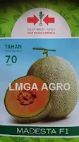 Melon Madesta murah, perawatan mudah, rasa manis, daging keras, kulit bernet, Madesta, Melon Madesta, Melon Orange, Melon Daging Merah, CapPanah Merah,East West Seed, Benih, Bibit, Tanaman, Budidaya, Harga murah, Petani, tahan Virus, Gemini Virus,Tahan Puret