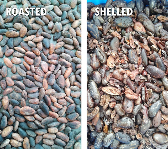  Roasted Cocoa Beans, before and after