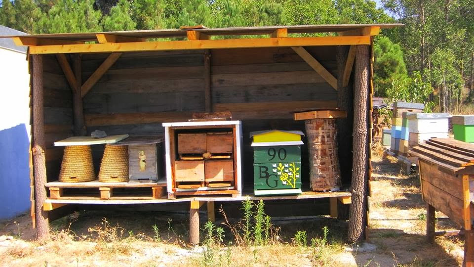 Museu do mel e da apicultura