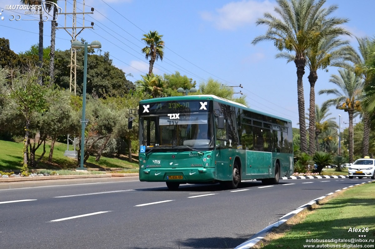 Израиль автобус Израиль автобус