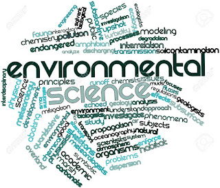Constitutional Provisions Relating to the Environment and the Impact of PIL in Safeguarding the Environment in India 